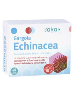 Sakai Gargola Echinacea